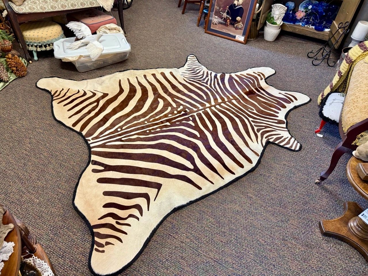 Wild Elegance Meets Vintage Charm: Our Real Zebra Skin Rug